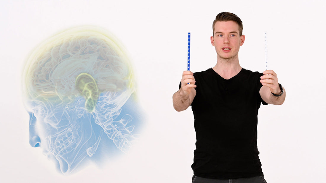 Neuroathletiktrainer Kevin Grafen hält zwei ARTZT neuro Vision Sticks vor sein Gesicht und fixiert den linken mit beiden Augen.